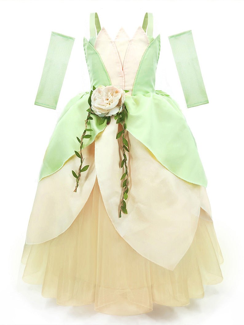 LED Light Princess Tiana Dress inspired from Princess & The Frog