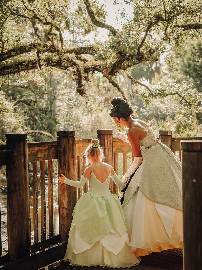 LED Light Princess Tiana Dress inspired from Princess & The Frog