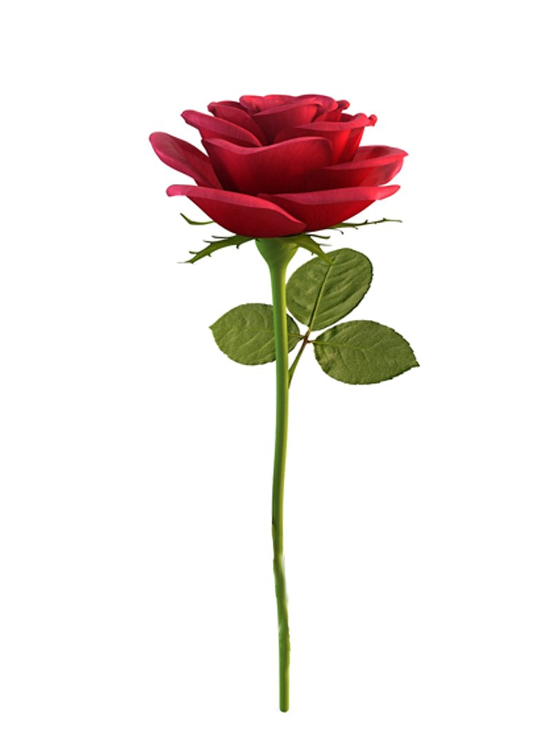 Girls Princess Rose Flower Accessories Dress Up - Uporpor