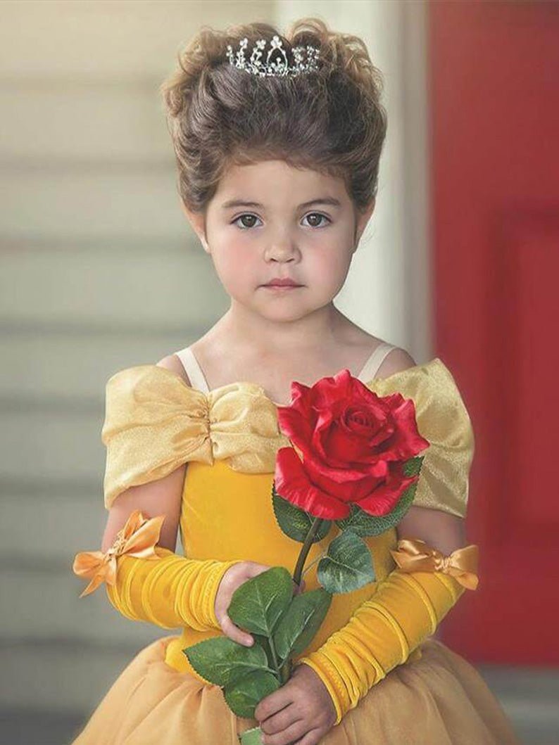 Belle Princess Costume