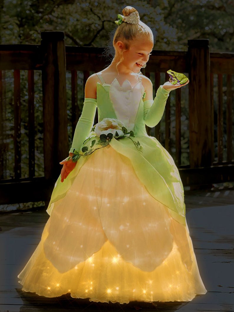 LED Light Princess Tiana Dress inspired from Princess & The Frog